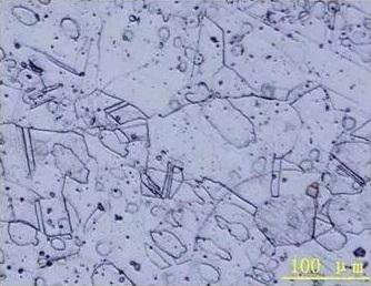 68d61ef8dde9453bb3e7e651d0abe438.jpg 68d61ef8dde9453bb3e7e651d0abe438.jpg