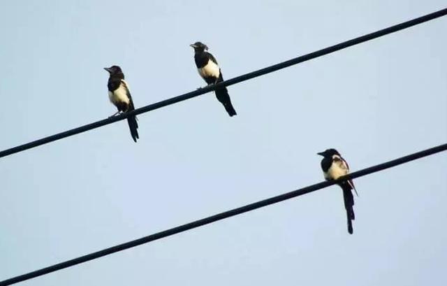 195109dc03434528ba8808986aa06084.jpg 195109dc03434528ba8808986aa06084.jpg